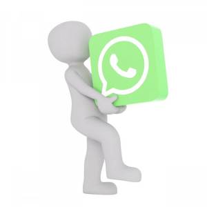 Download GBWhatsApp Apk1