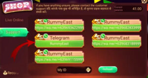 Customer Support in Rummy East
