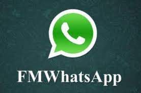 FM WhatsApp v9.71 Apk Download Mod FMWA 2023